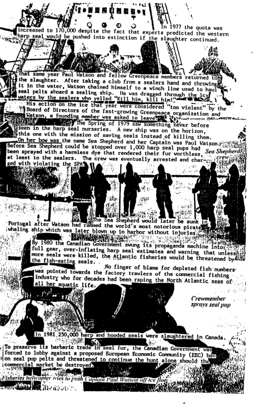 ‘g @ In 1977 the quota vas  increased to 170,000 despite the fact that explrts predicted o peesorm Wharp seal e inte extinction i€ e slaughter continoed 5  the slaughter. it in the vatér, Watson chained hinsel( ¢ seal pelts aboard a sealing ship., e vas deagsed thes  thggealers tho yeiled "1l hin, RE1L i adef, T ey s Ly SR the 3 Boacd of Directors of the fas 2,  e o e i G snhntlon ol "The Speing of 1975 380 Samething hever before AP R g s  this one vith the mission of saving seals instead of Killing thim. &  5 ed could bestopped over 1,000 harp seal pups had g0 ¢, "0l [been sprayed vith a harnless dye that rendered their fur vorthless, 56 Shepherdl  et L the senlers The v ity mrceted amd St TS i i el e b  Poctugal aftéc Uatson had rained the vorid’s most notorious pirat] ivhaling ship uhich vas later Blown up. i hy  Eboc whthout. injuries  y R e  By 1960 the Canadian Govertwaen d full gear, over-inflating harp seal estinates and varning  hat  ! ot rore seals were killed, the Atlantic fisheries would be thresten  o B e (1sh-coting seals:  omerctal fishing the North Atlantic sess of  Crewmenber spravs seal pup  | foncedto Loy sgains o proposed Eucopest Econanic Cammy  I  